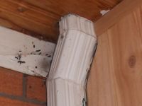 interior-downspout-boulder-home-inspection